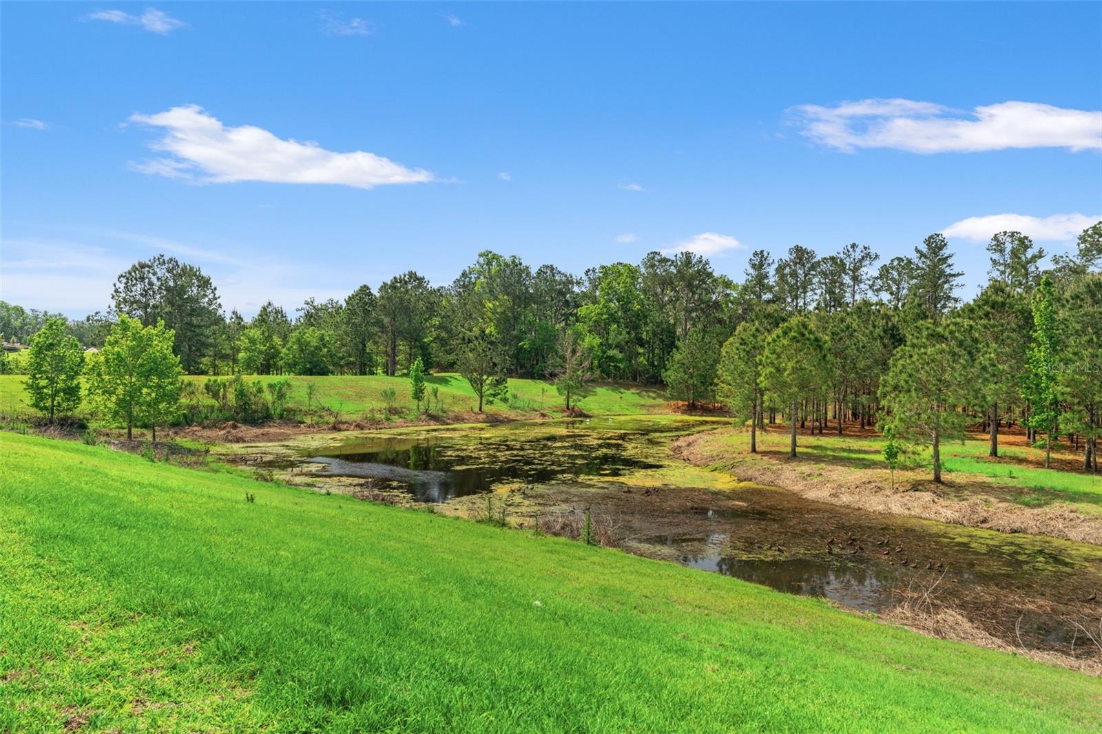 4661 SOUTHERN VALLEY LOOP, BROOKSVILLE, FL, 34601