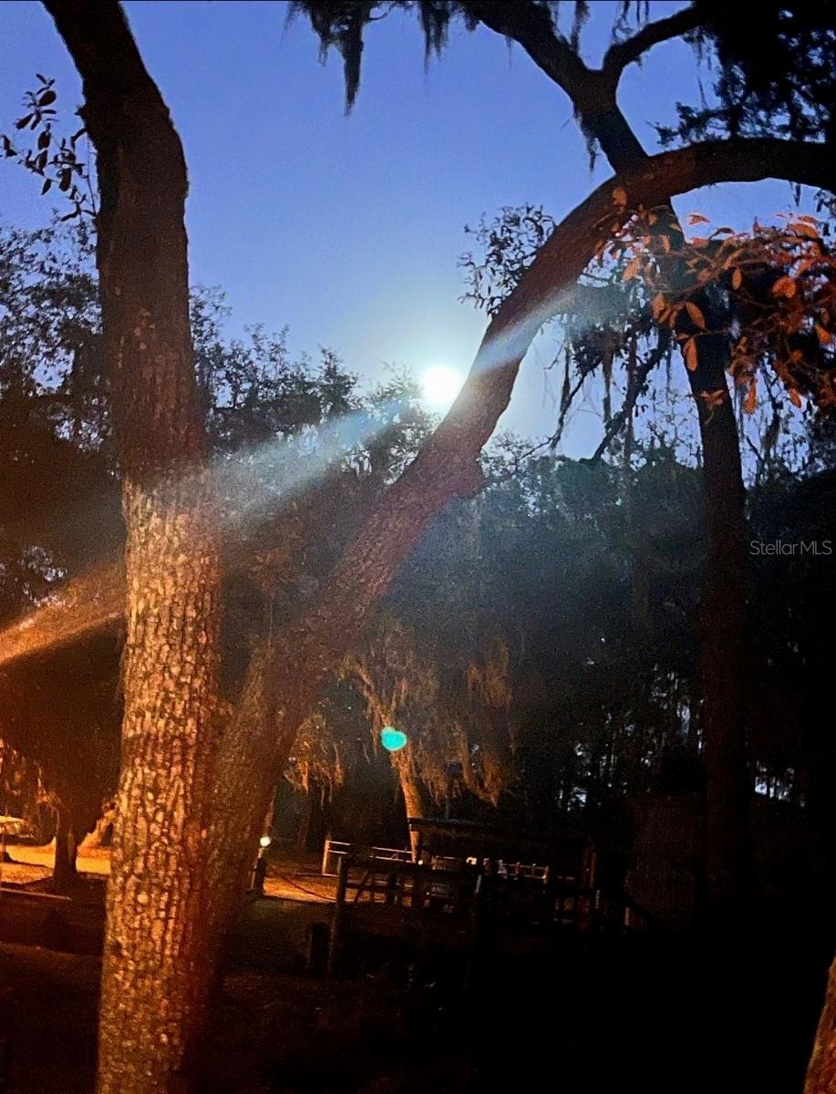 18625 NE 238TH TER, FORT MC COY, FL, 32134