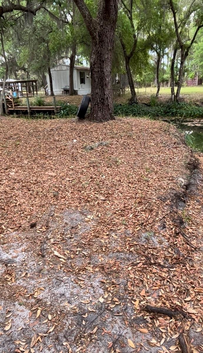 18625 NE 238TH TER, FORT MC COY, FL, 32134