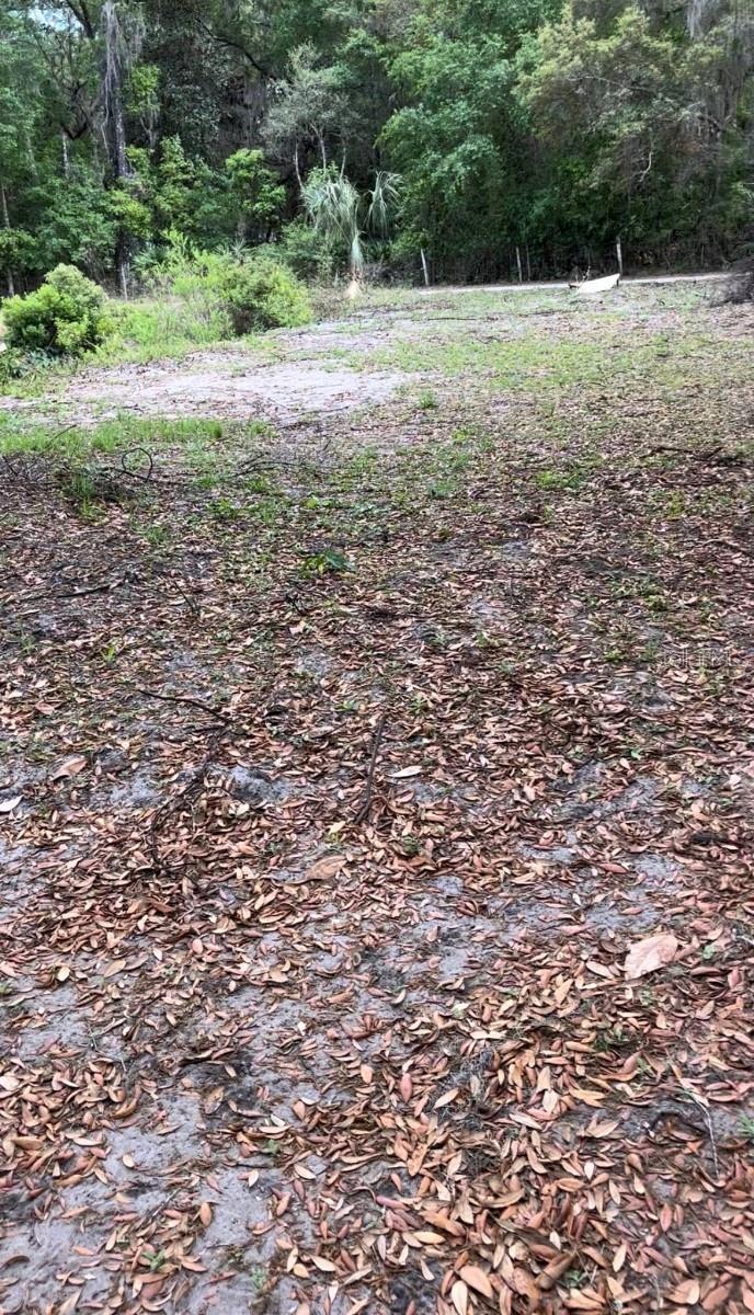 18625 NE 238TH TER, FORT MC COY, FL, 32134