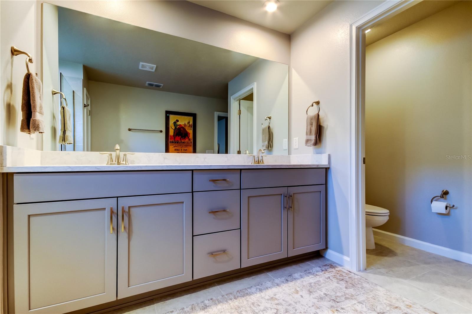 19388 GREAT INTENTION WAY, LUTZ, FL, 33558