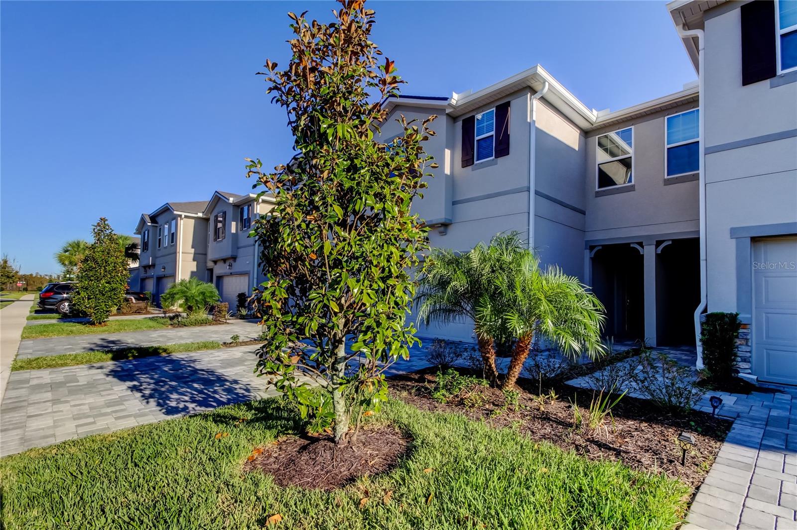 19388 GREAT INTENTION WAY, LUTZ, FL, 33558