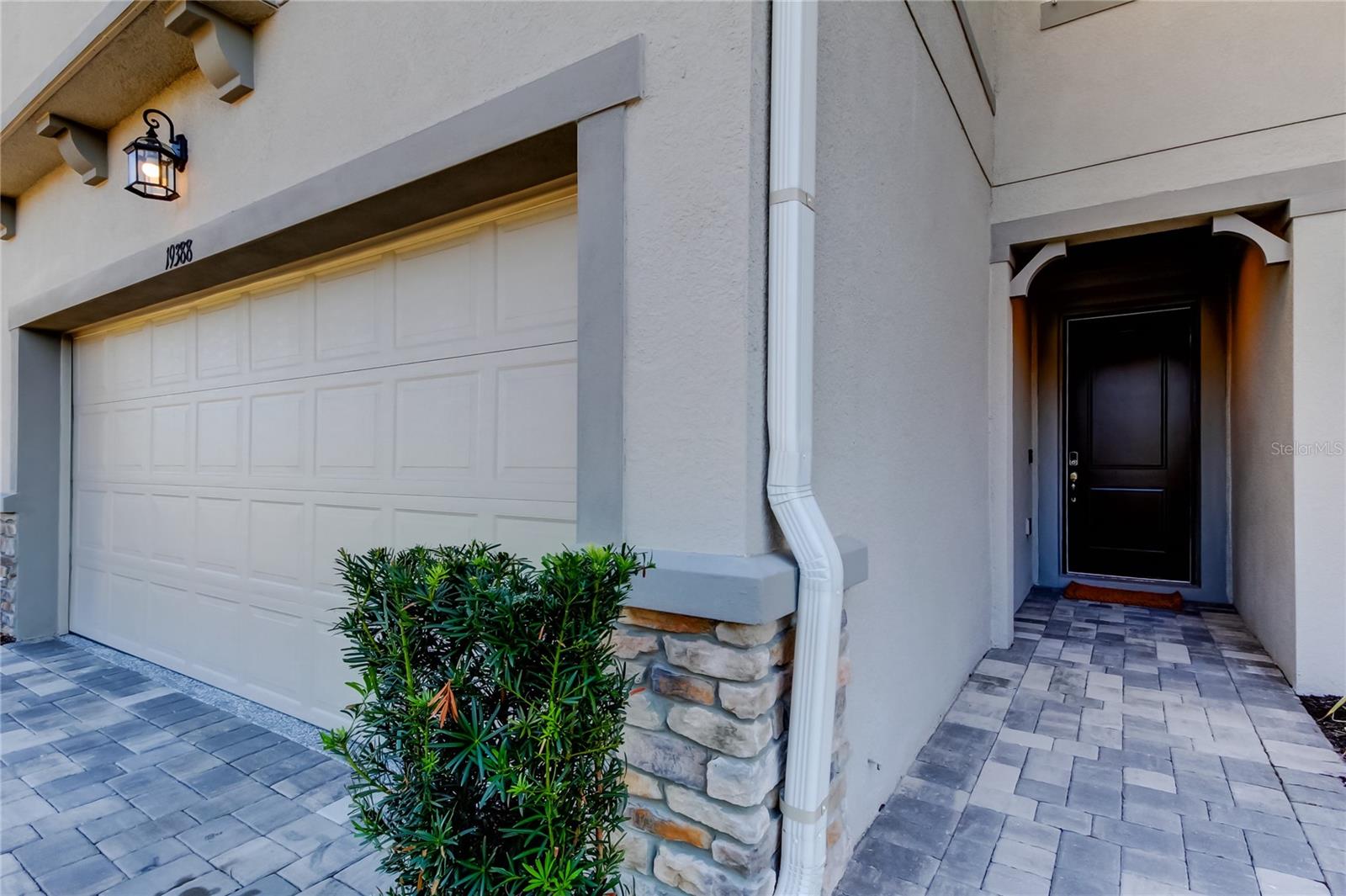 19388 GREAT INTENTION WAY, LUTZ, FL, 33558