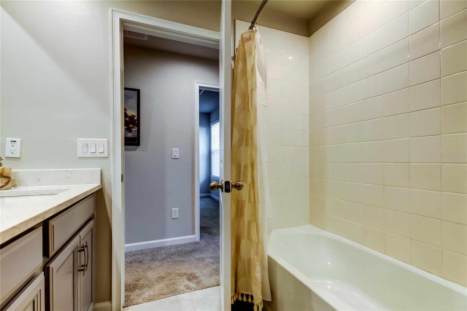 19388 GREAT INTENTION WAY, LUTZ, FL, 33558