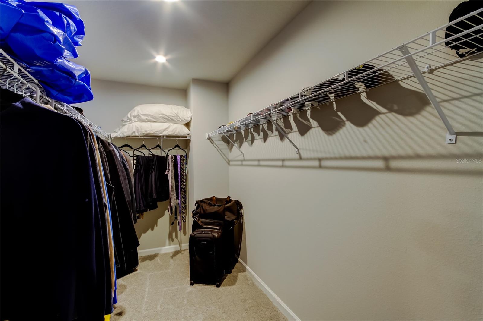 19388 GREAT INTENTION WAY, LUTZ, FL, 33558