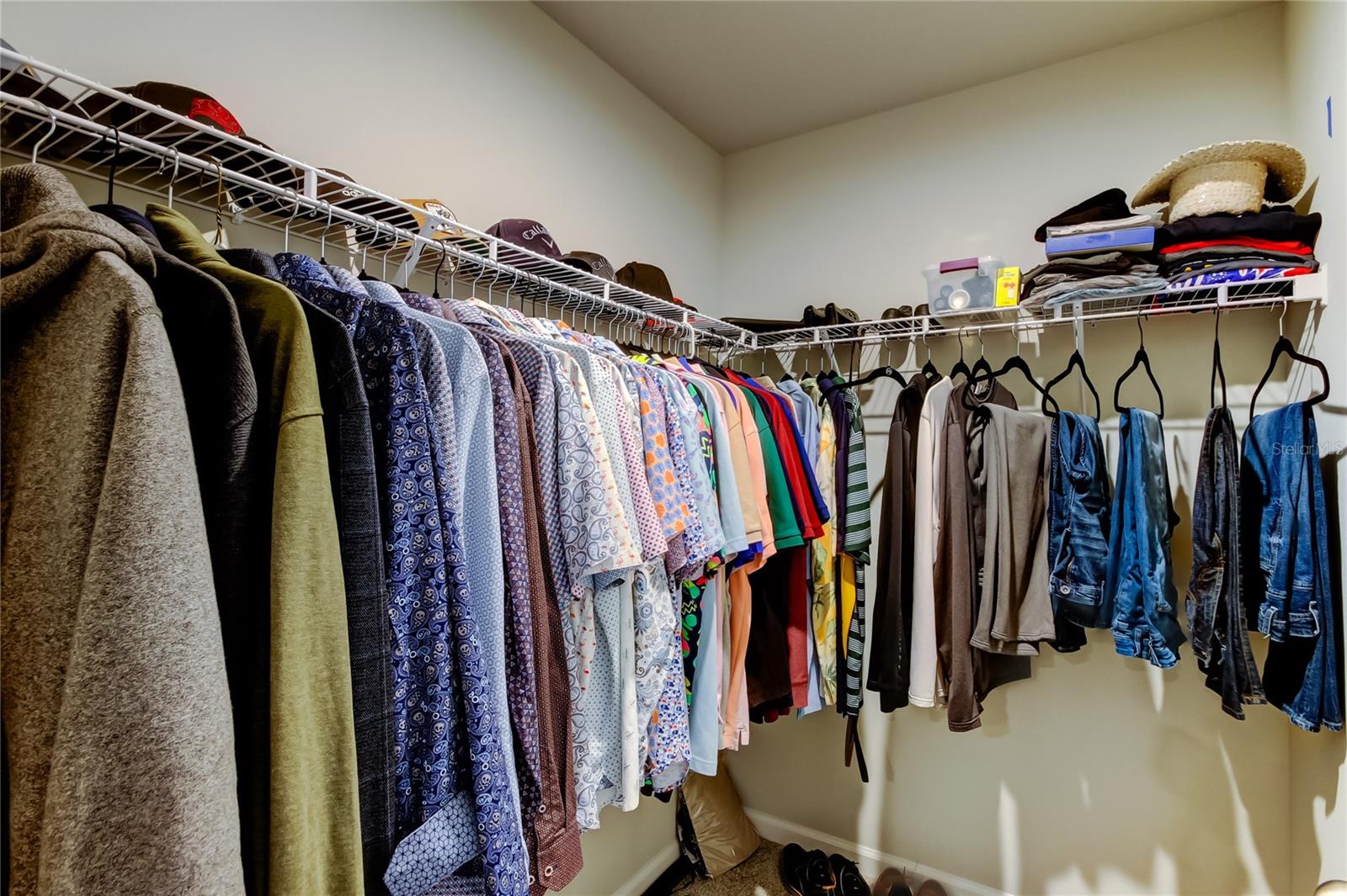 19388 GREAT INTENTION WAY, LUTZ, FL, 33558