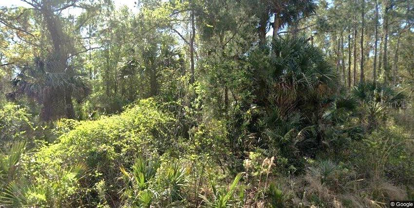 111 EDGEWOOD DR, GEORGETOWN, FL, 32139