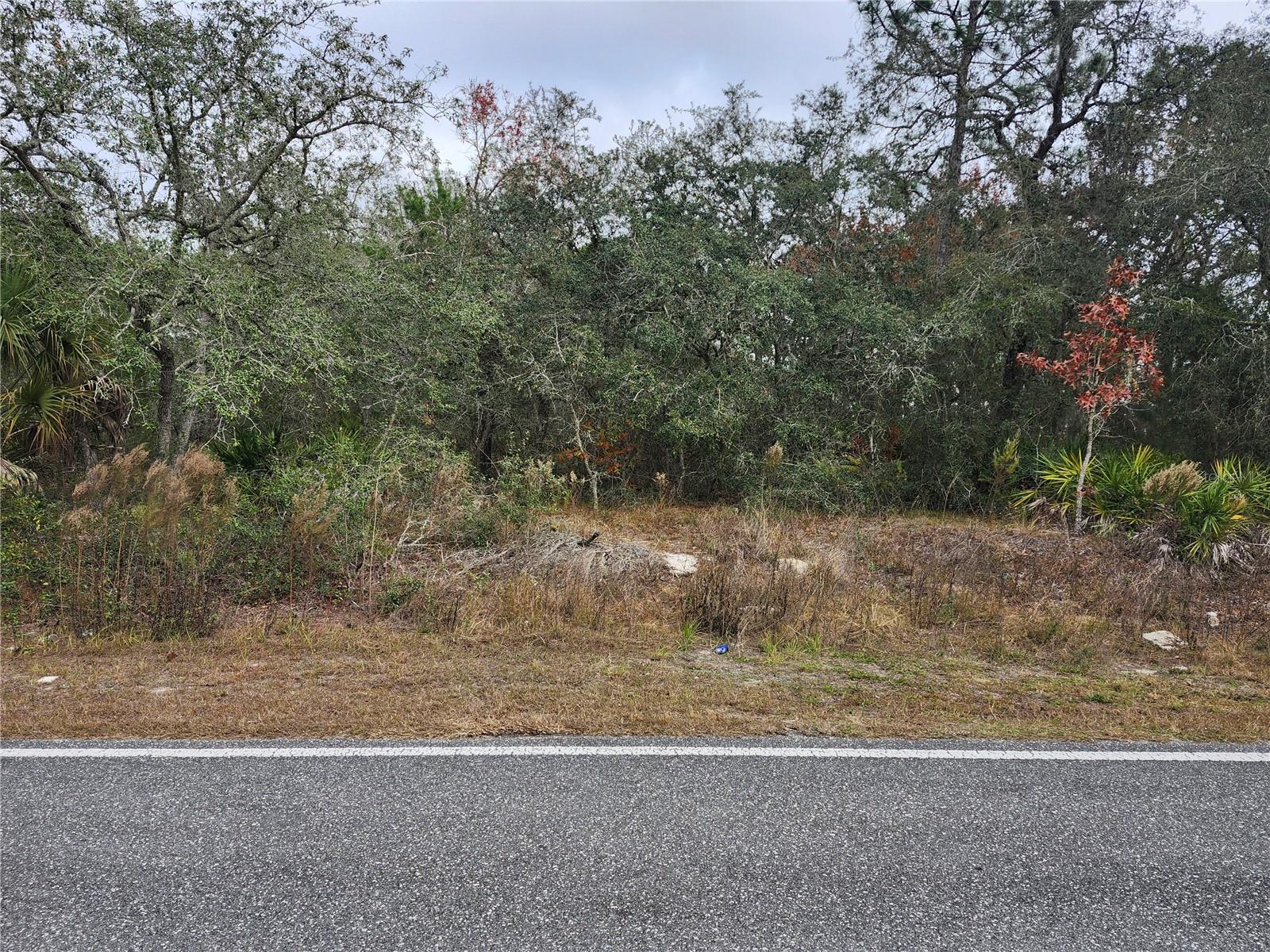 10548 NODDY TERN RD, WEEKI WACHEE, FL, 34613