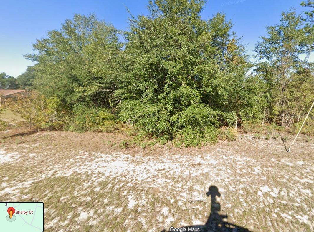 SHLEBY CT, CHIPLEY, FL, 32428