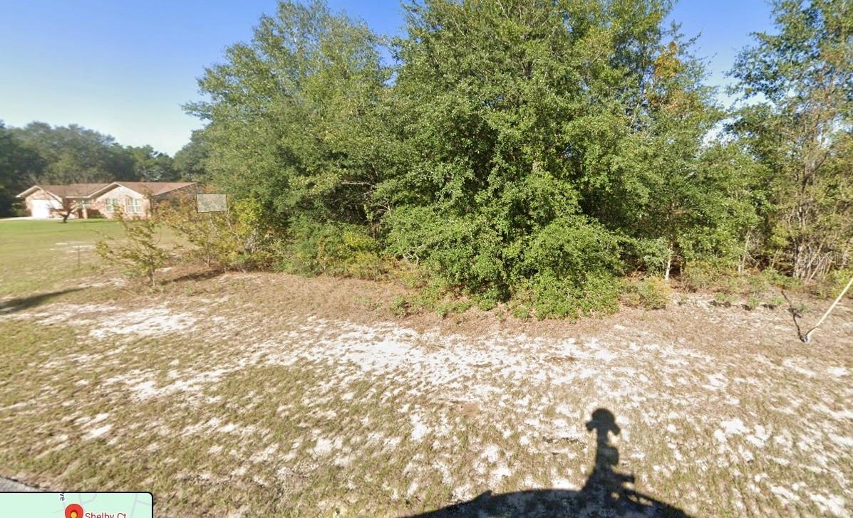 SHLEBY CT, CHIPLEY, FL, 32428