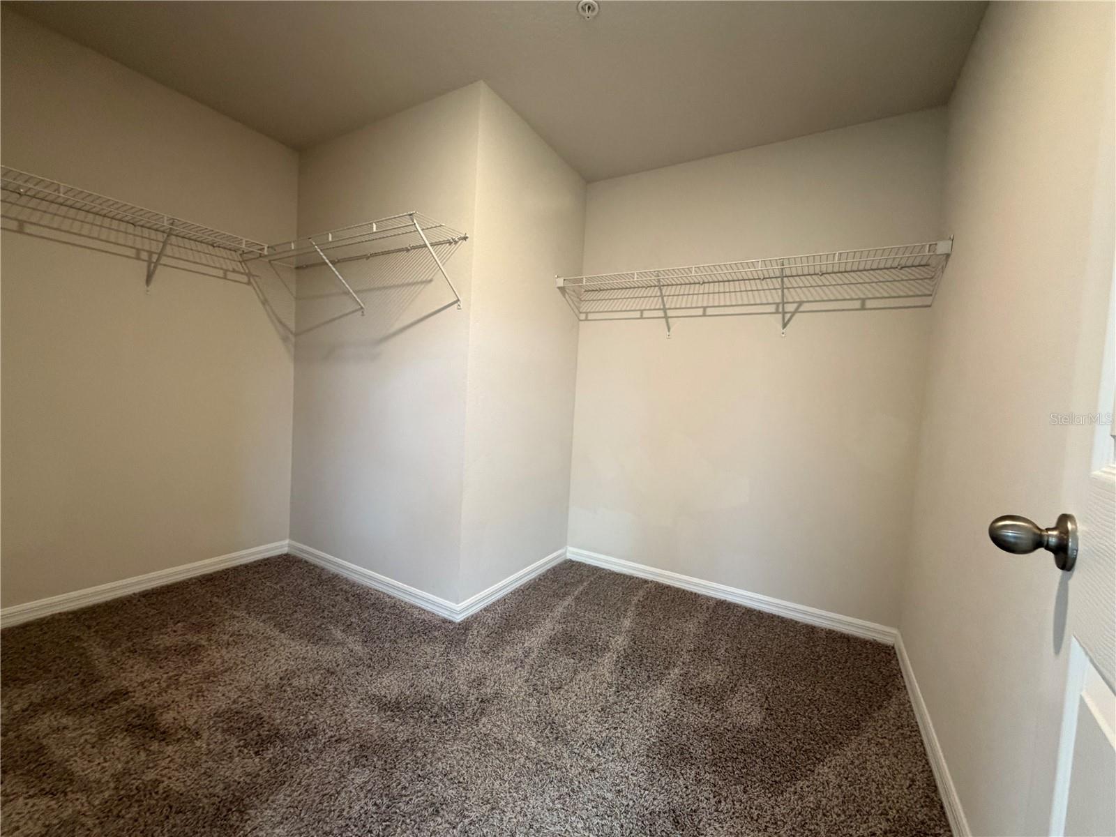 2539 SWEET VIBURNUM WAY, OCOEE, FL, 34761