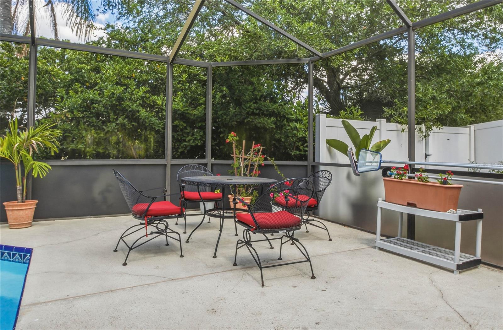 4725 ORANGE GROVE WAY, PALM HARBOR, FL, 34684