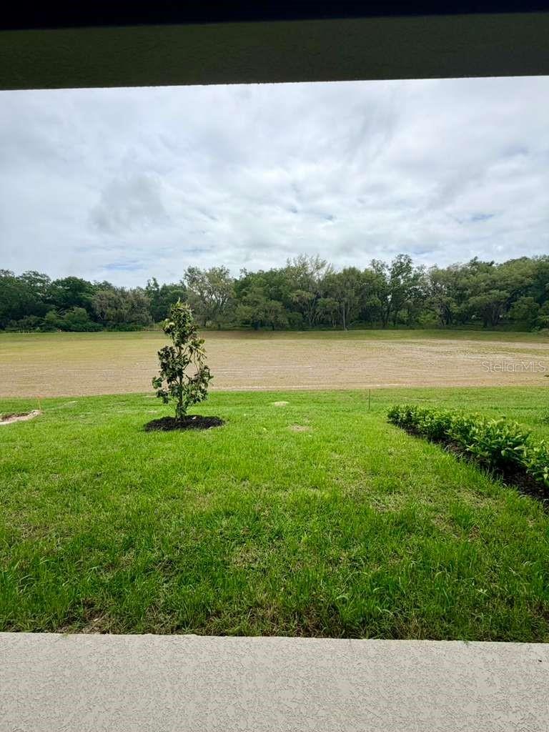 1208 TURTLE ISLAND RD, LADY LAKE, FL, 32159