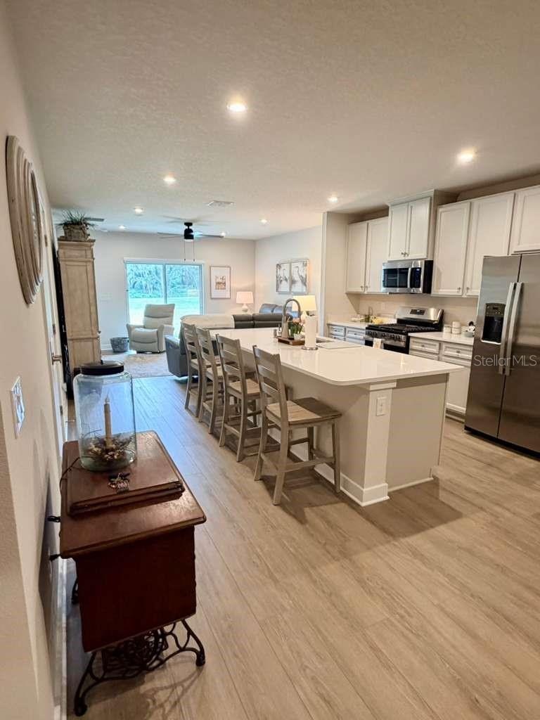 1208 TURTLE ISLAND RD, LADY LAKE, FL, 32159