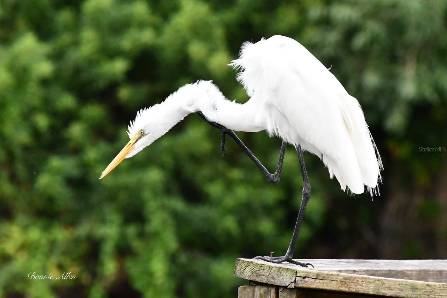 6232 TOWER DR, HUDSON, FL, 34667