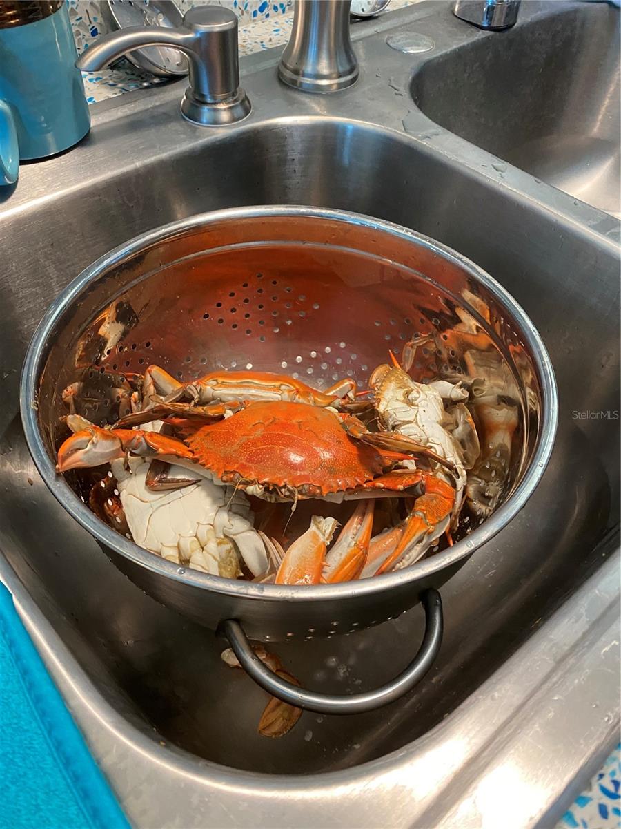 6232 TOWER DR, HUDSON, FL, 34667