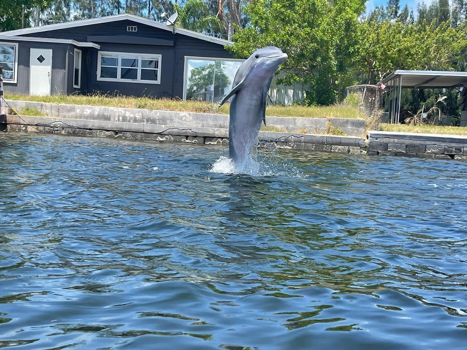 6232 TOWER DR, HUDSON, FL, 34667