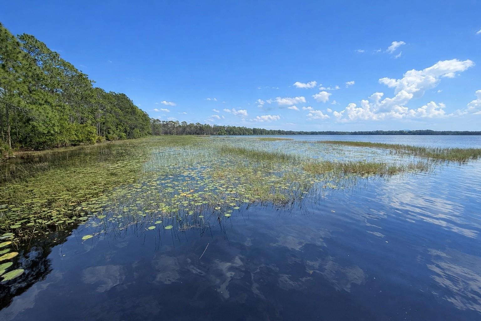 1813 LAKEWOOD DR, ST CLOUD, FL, 34771