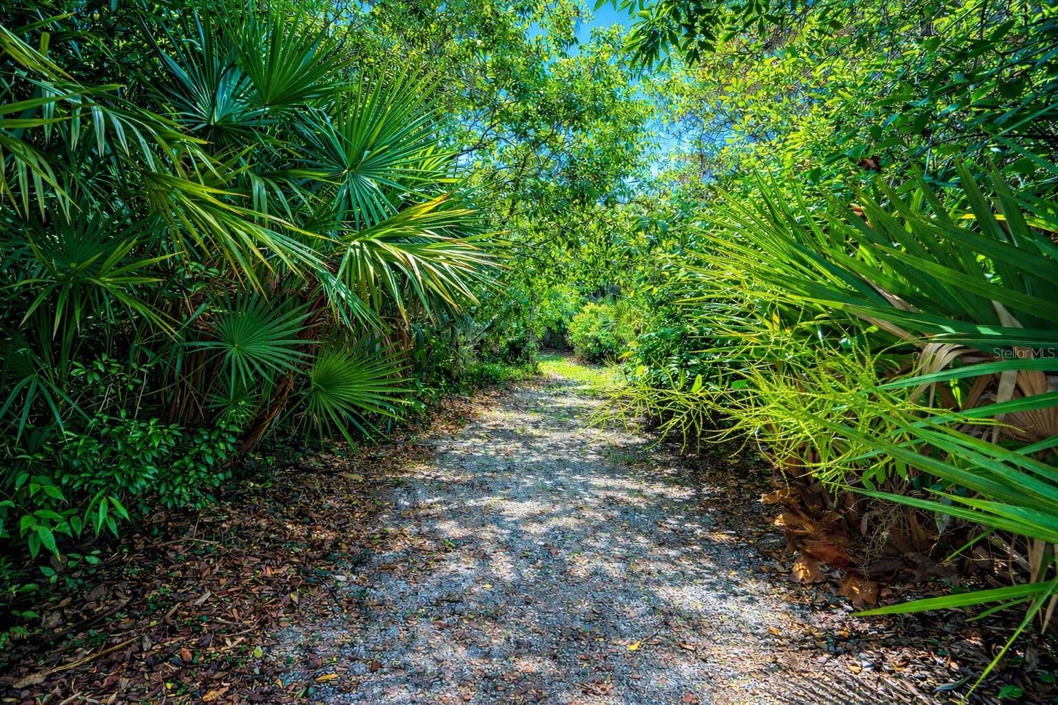 1813 LAKEWOOD DR, ST CLOUD, FL, 34771
