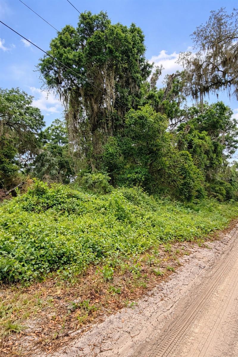 TBD NE 52ND CT, ANTHONY, FL, 32617