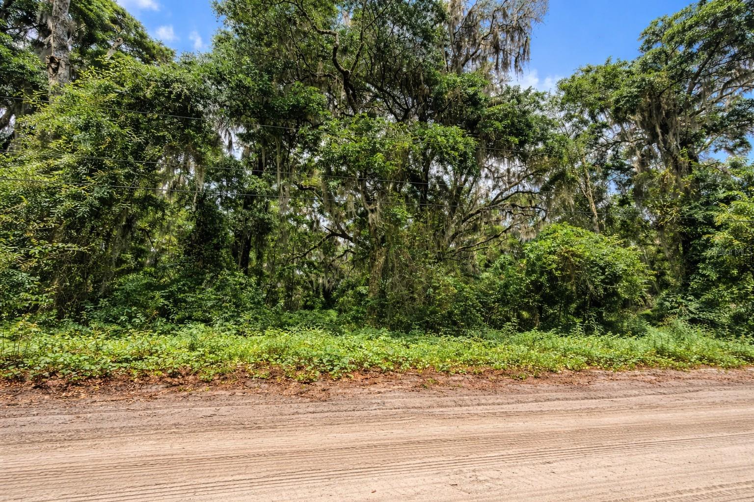 TBD NE 52ND CT, ANTHONY, FL, 32617