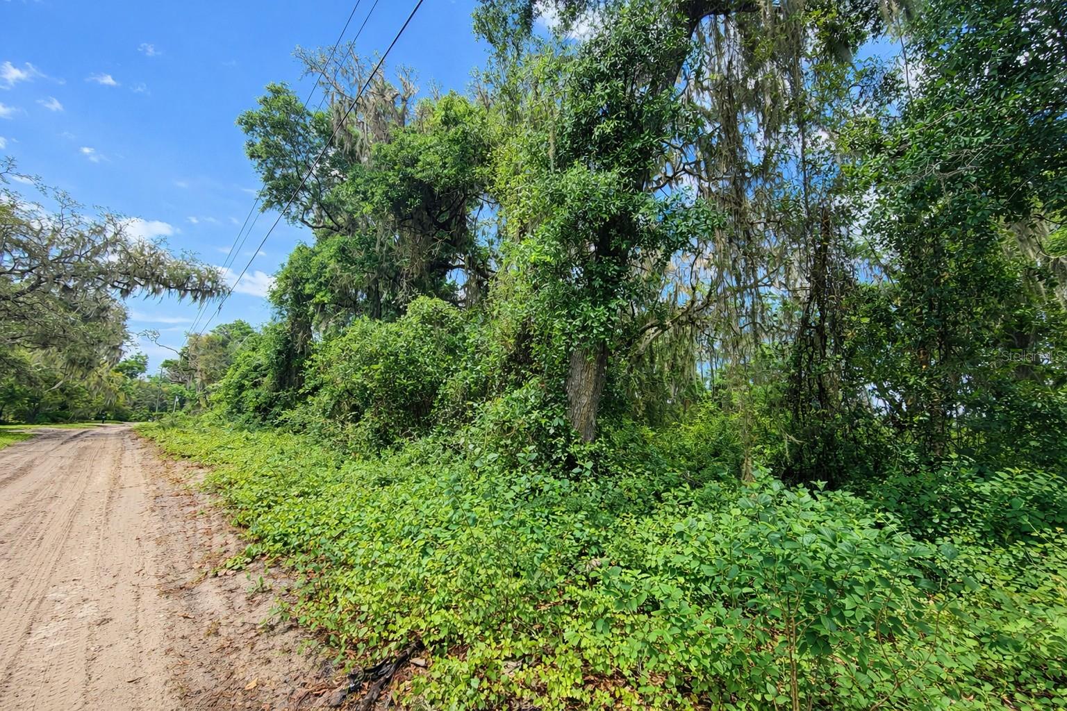 TBD NE 52ND CT, ANTHONY, FL, 32617