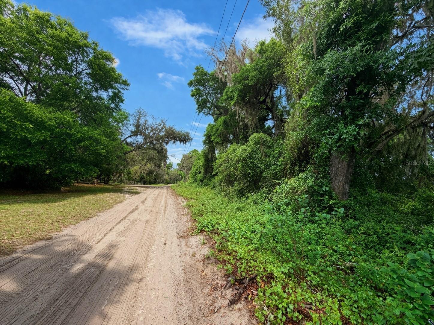 TBD NE 52ND CT, ANTHONY, FL, 32617