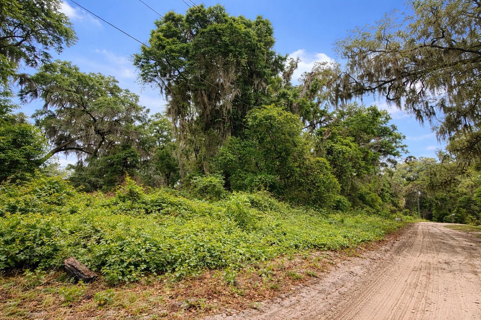 TBD NE 52ND CT, ANTHONY, FL, 32617
