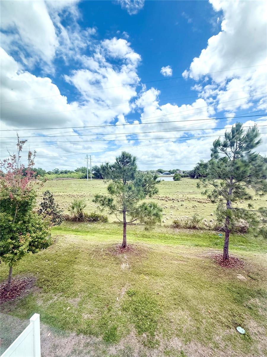 7008 GRAND ELM DR, RIVERVIEW, FL, 33578