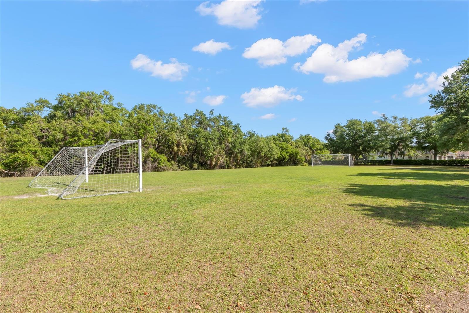 3710 TWIN RIVERS TRL, PARRISH, FL, 34219