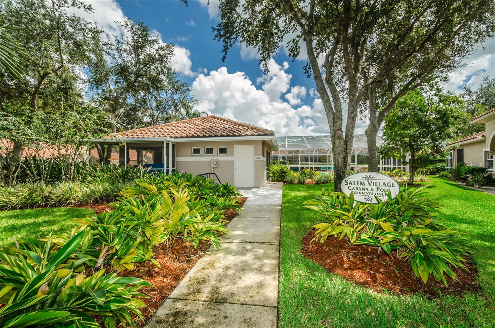 3802 DARSTON ST, PALM HARBOR, FL, 34685