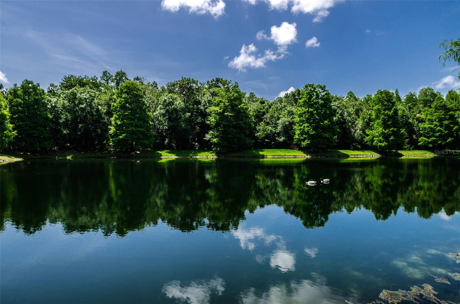 3802 DARSTON ST, PALM HARBOR, FL, 34685