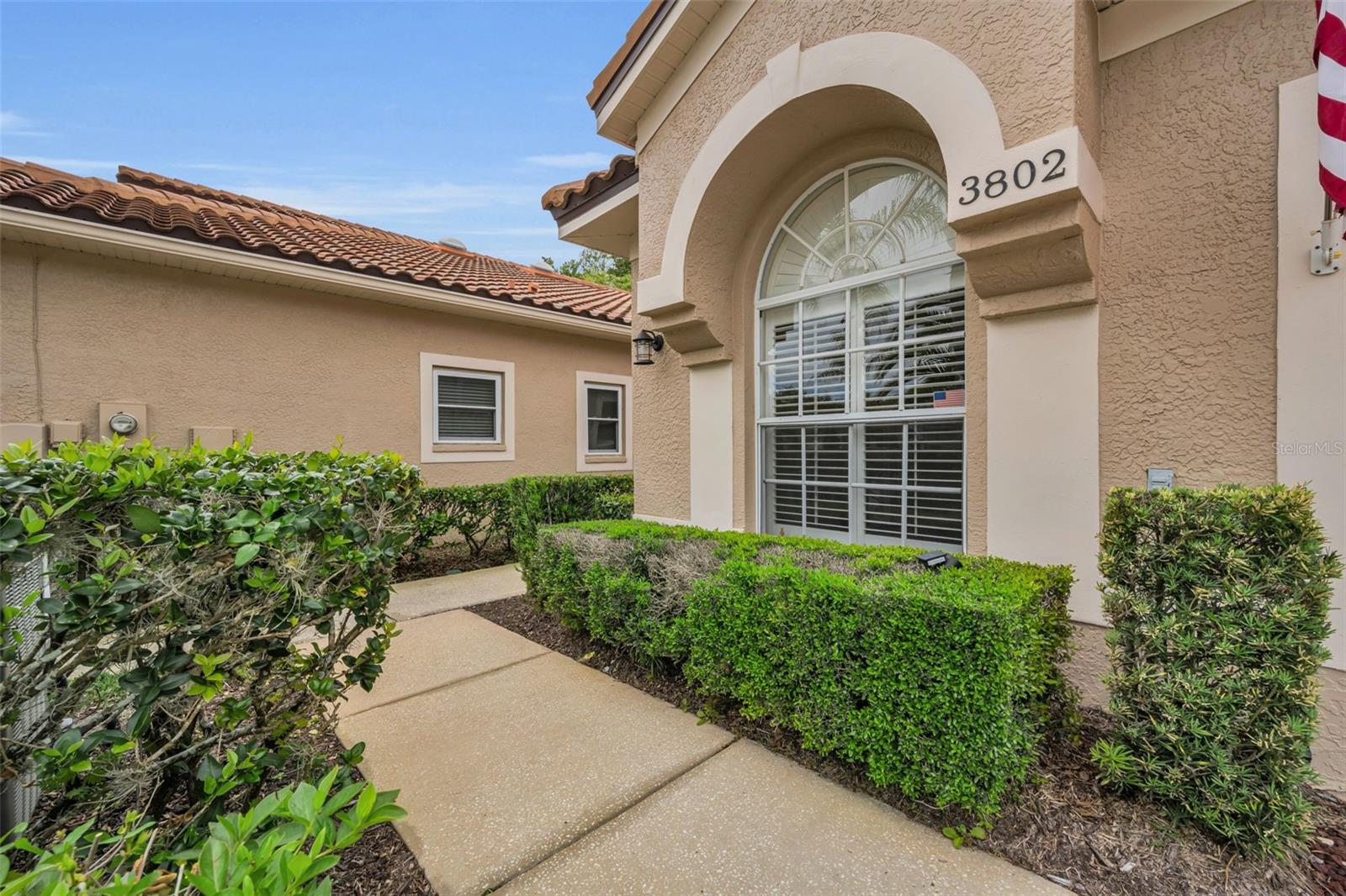 3802 DARSTON ST, PALM HARBOR, FL, 34685