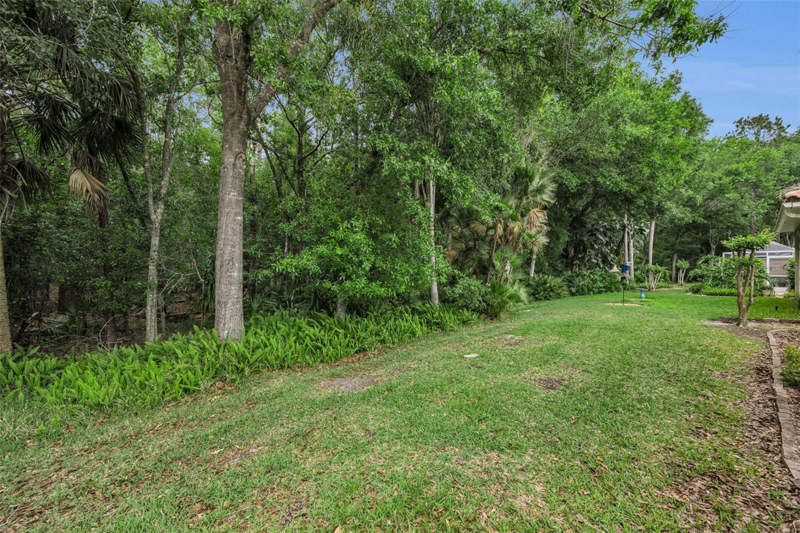 3802 DARSTON ST, PALM HARBOR, FL, 34685