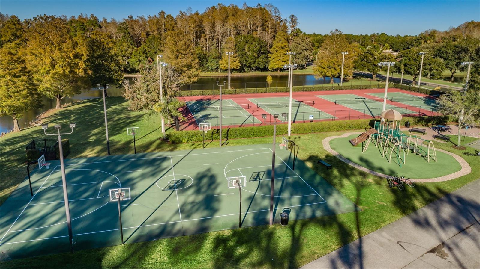 3802 DARSTON ST, PALM HARBOR, FL, 34685