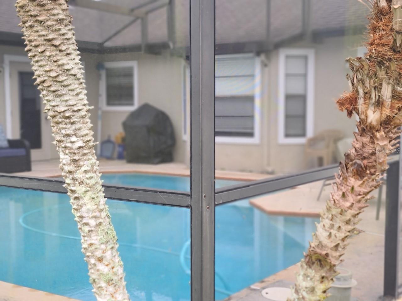 311 MARIANA WAY, KISSIMMEE, FL, 34758