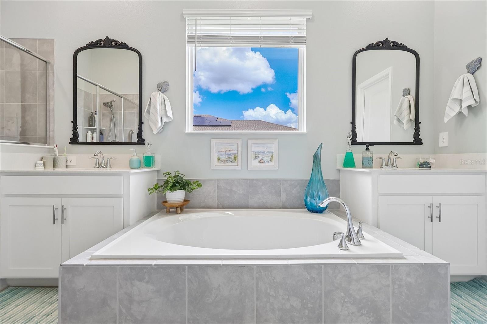 6049 CLAYSTONE WAY, MOUNT DORA, FL, 32757