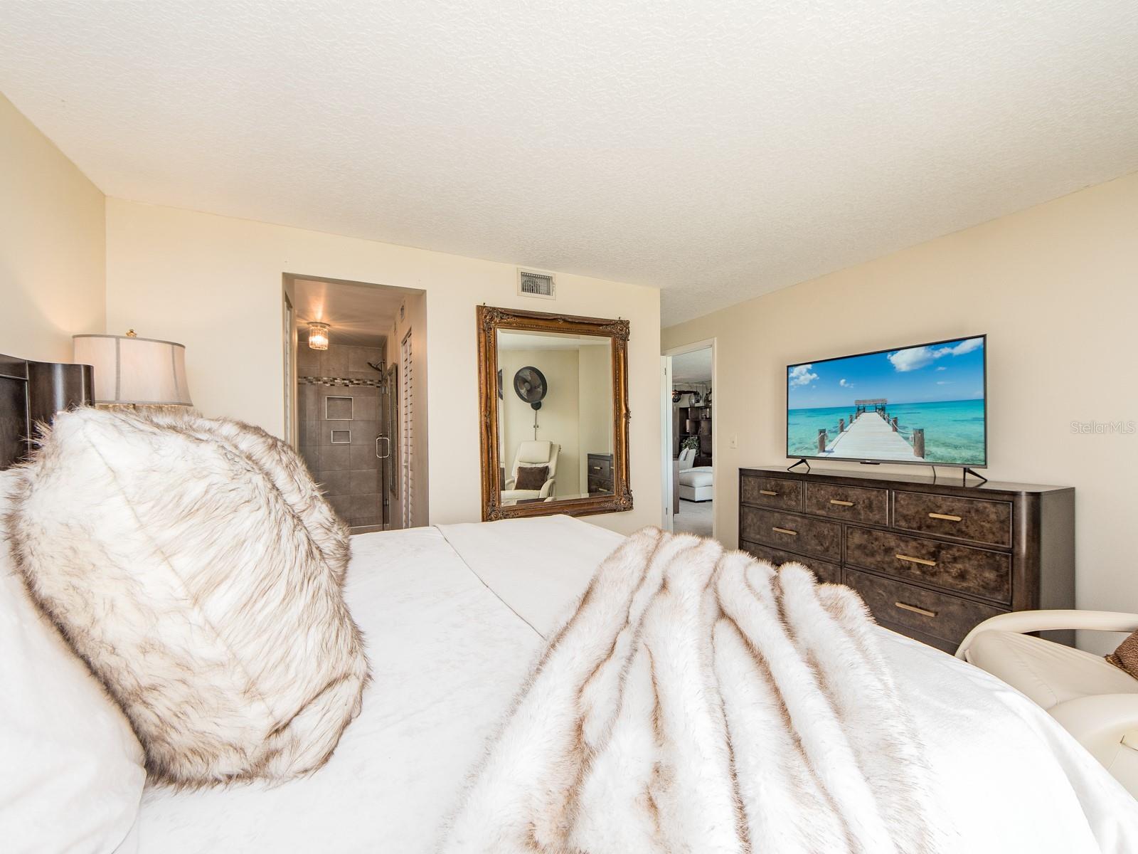 Primary Bedroom is Spacious