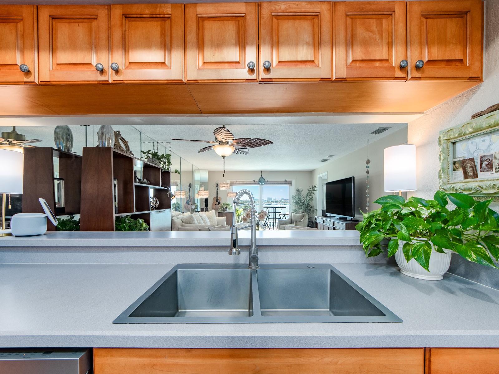 New Sleek Kitchen Sink and Faucet