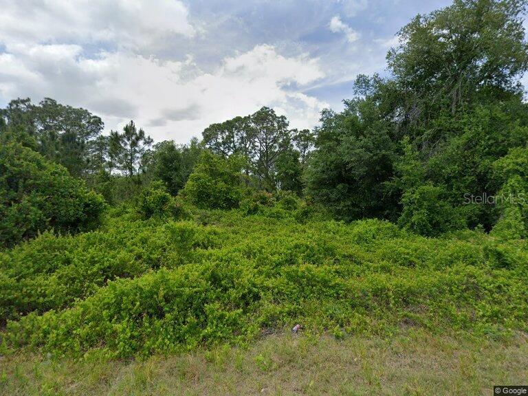 315 JOHNSON AVE NE, LAKE PLACID, FL, 33852