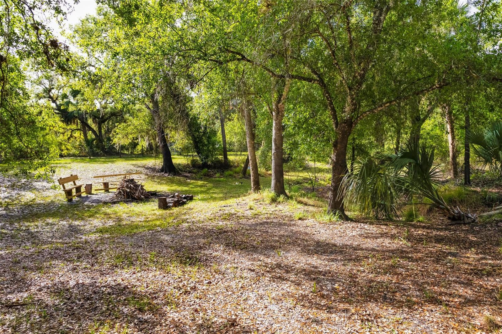 8096 SW GOLDEN GLADE AVE, ARCADIA, FL, 34266