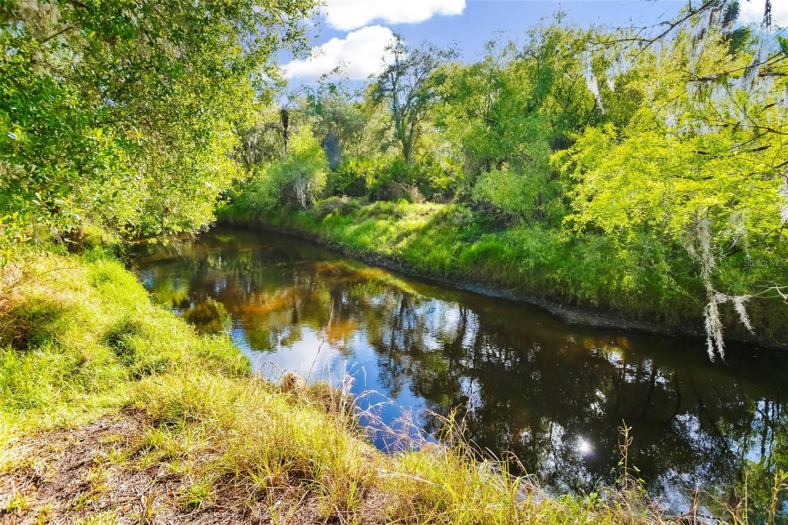 8096 SW GOLDEN GLADE AVE, ARCADIA, FL, 34266