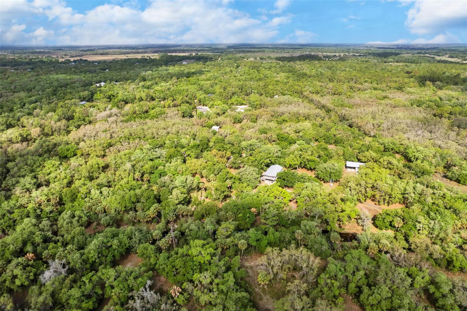 8096 SW GOLDEN GLADE AVE, ARCADIA, FL, 34266