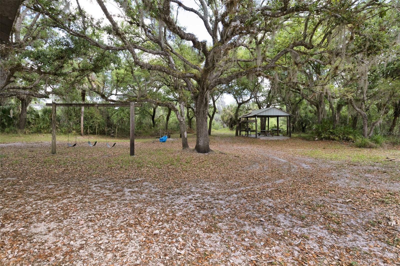 8096 SW GOLDEN GLADE AVE, ARCADIA, FL, 34266