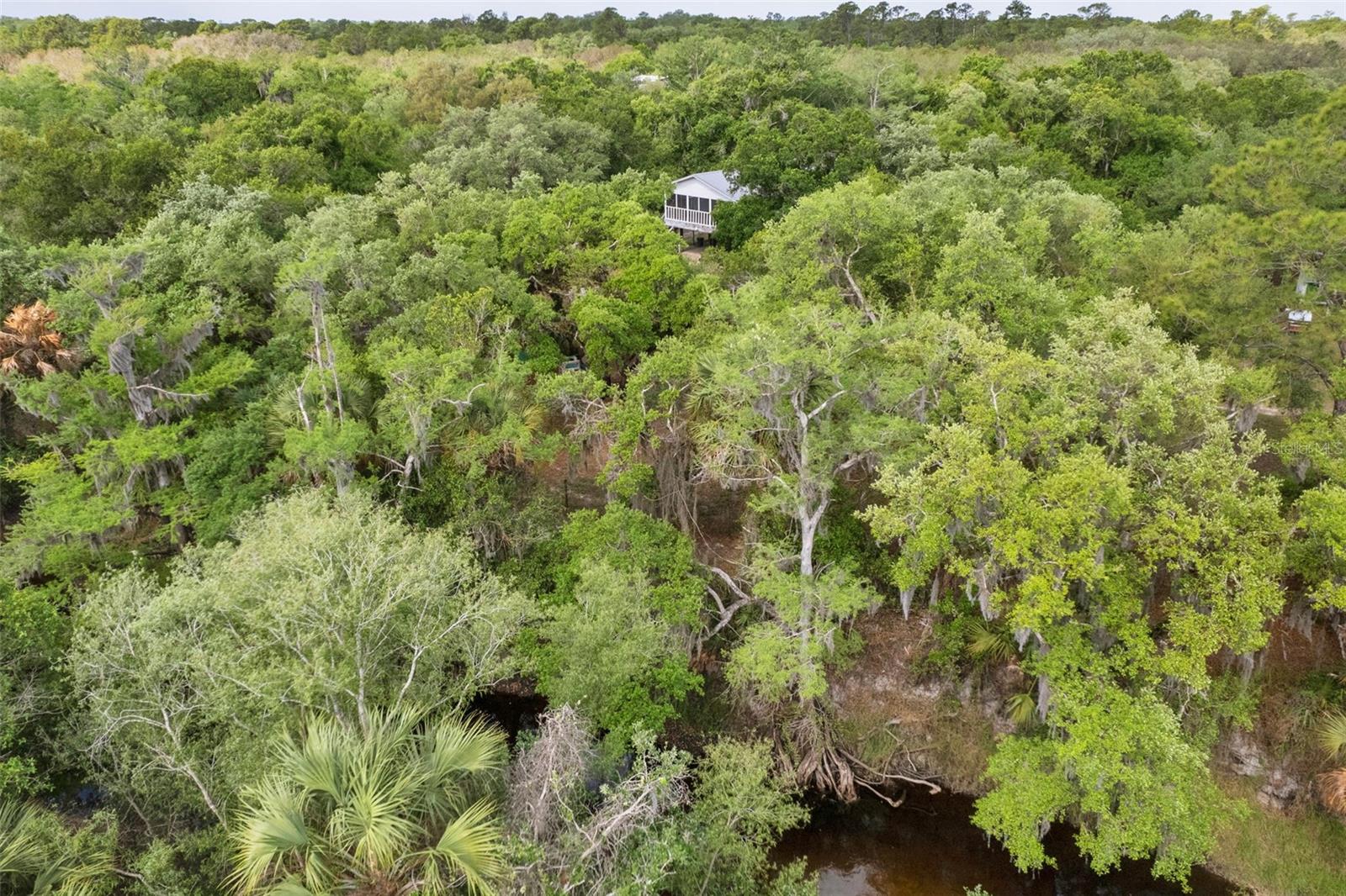 8096 SW GOLDEN GLADE AVE, ARCADIA, FL, 34266