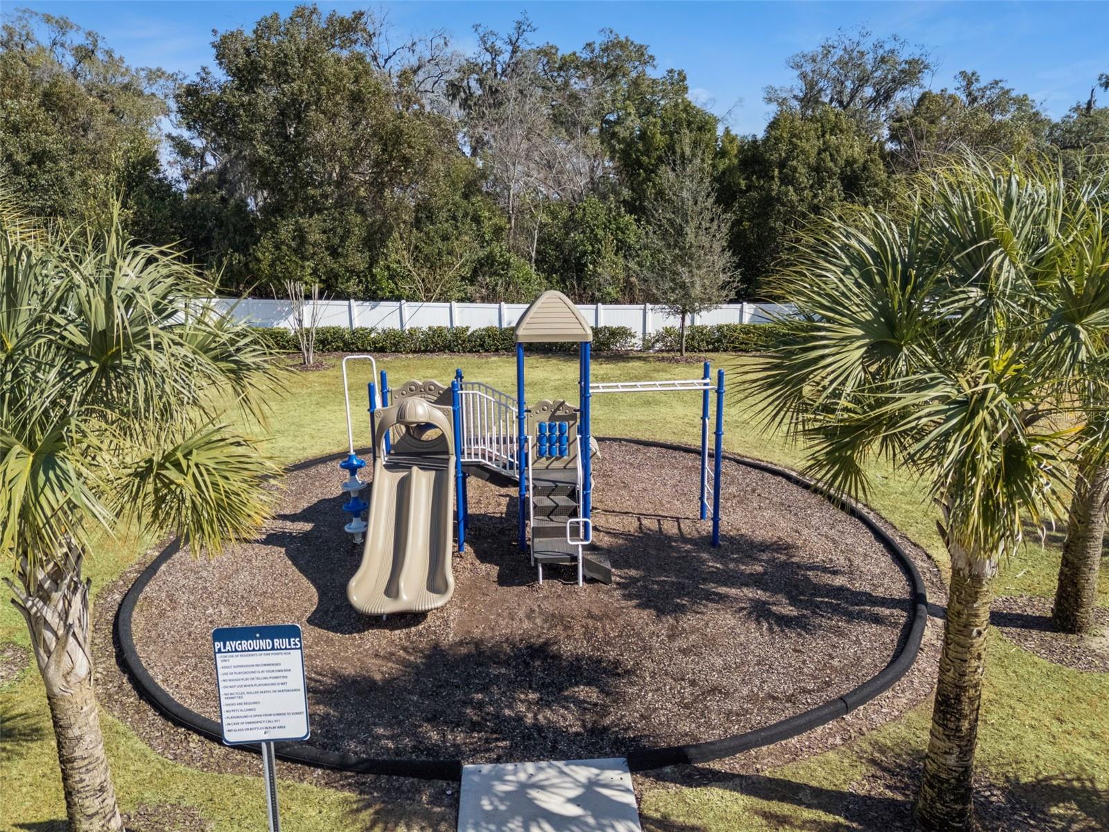 3559 WYE OAK DR, APOPKA, FL, 32703
