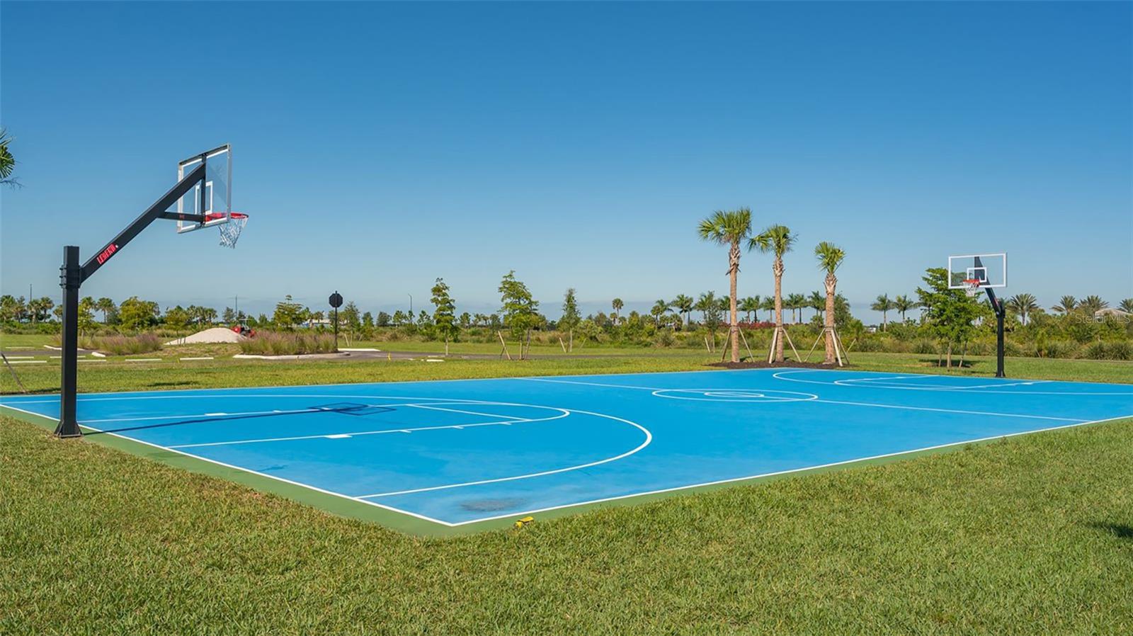 10089 MORNING MIST LN LN, SARASOTA, FL, 34241