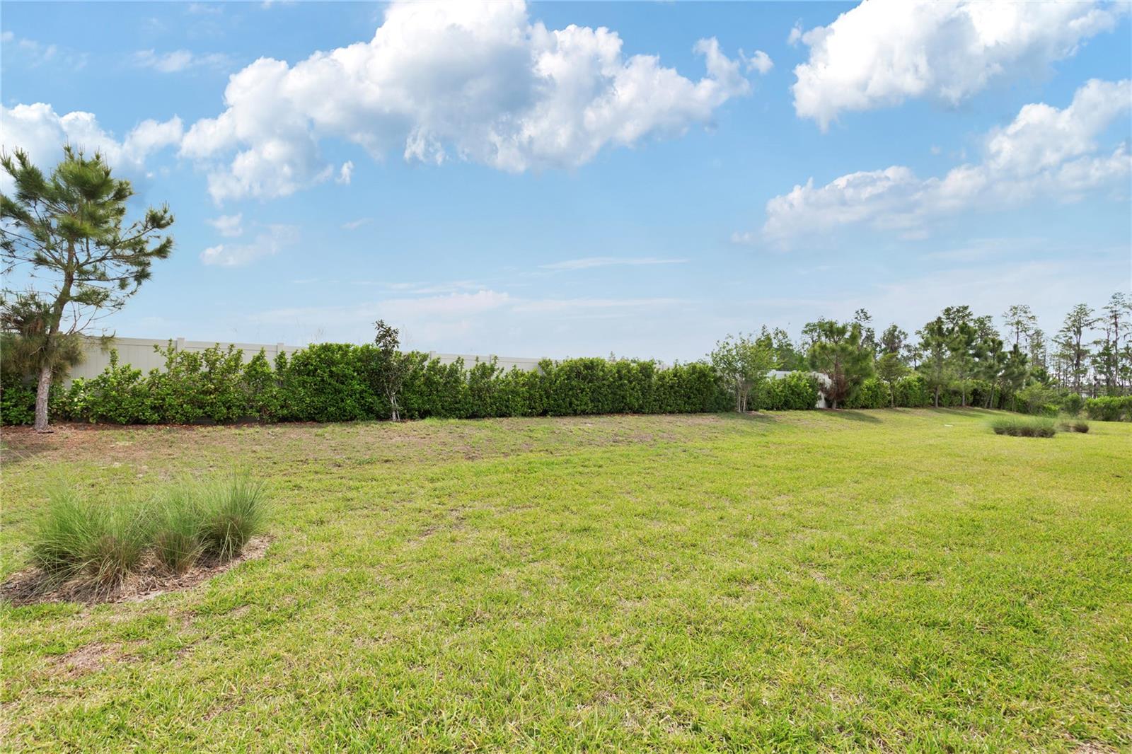 5997 SHOREBIRD BR, LAND O LAKES, FL, 34638