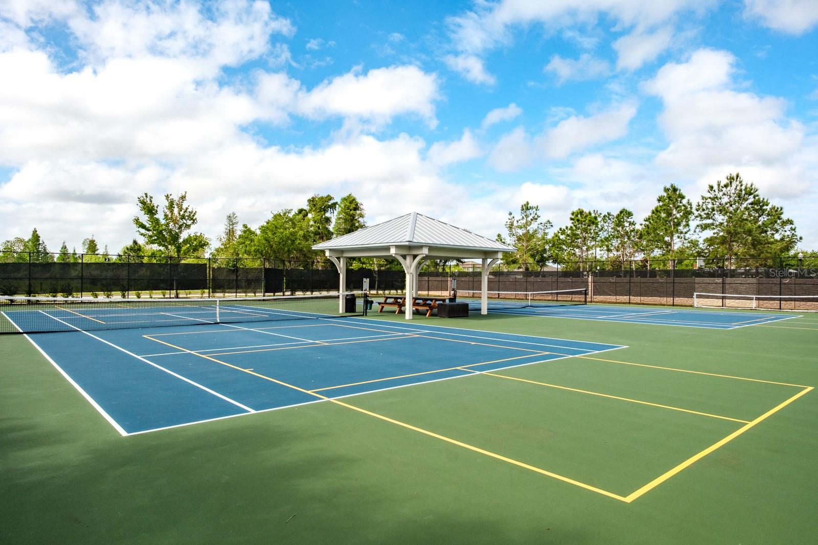 1653 NATURE VIEW DR, LUTZ, FL, 33558