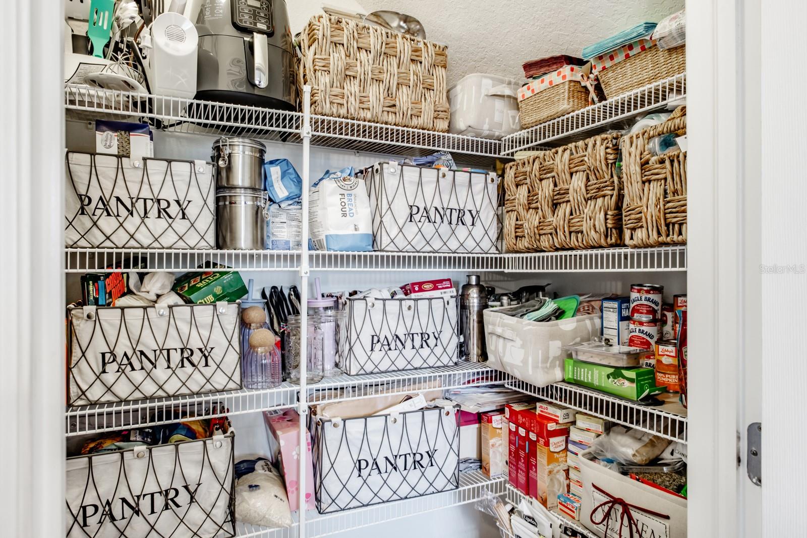 1653 NATURE VIEW DR, LUTZ, FL, 33558